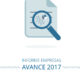 Informe Empresas AVANCE 2017