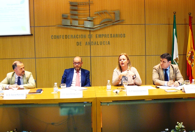 La Comisión de Energía de CEA se reúne con la Agencia Andaluza de la Energía