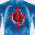 Una de cada seis bajas laborales se debe a enfermedades cardiovasculares, advierten expertos.