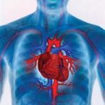 Diez buenos consejos para mantener un corazón sano.