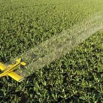 Nueva guía de la Autoridad Europea de Seguridad Alimentaria para evaluar la exposición a pesticidas.