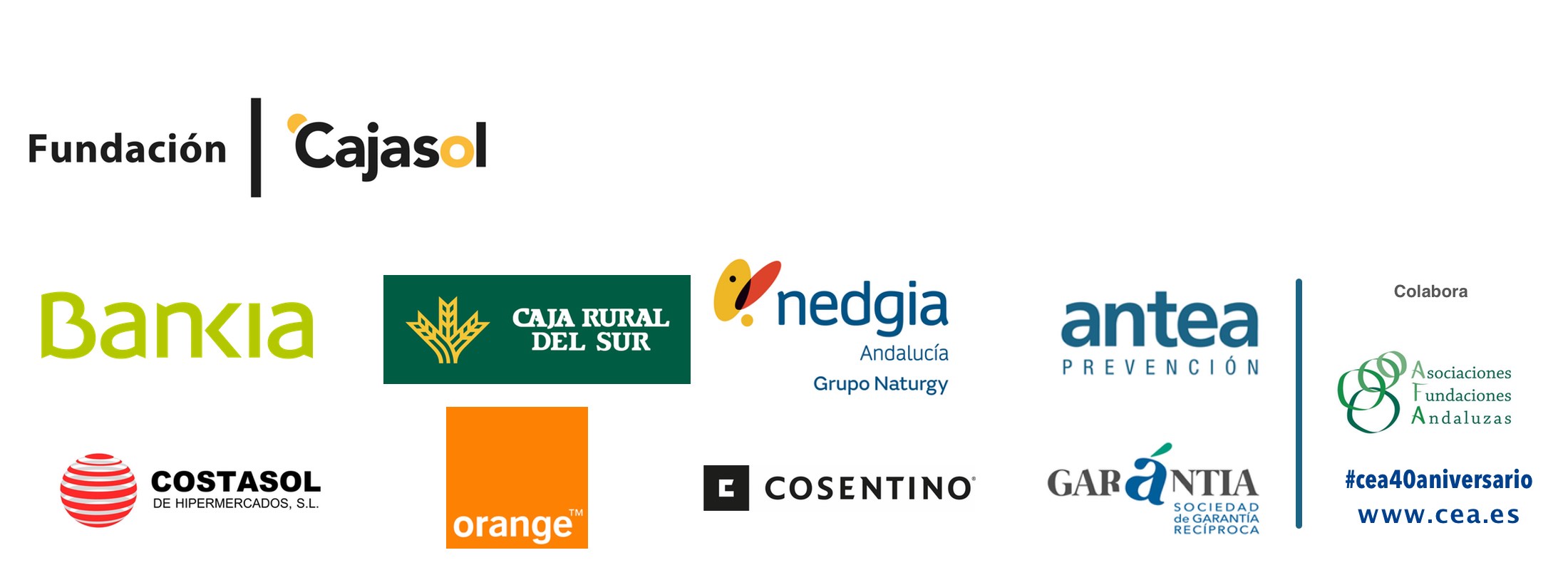 Patrocinadores_Fundacion_cajasol_colaborador 2